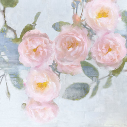 Picture of DELICATE PINK I