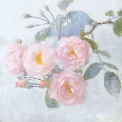 Picture of DELICATE PINK II