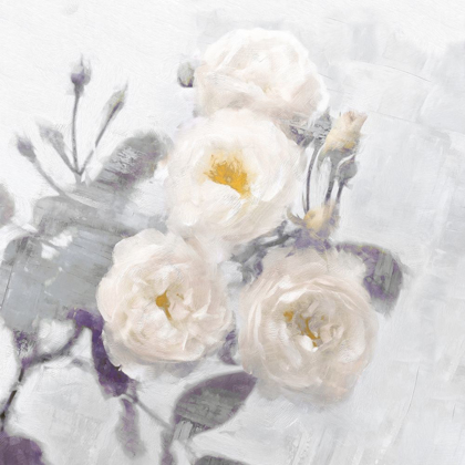 Picture of DELICATE PURPLE I