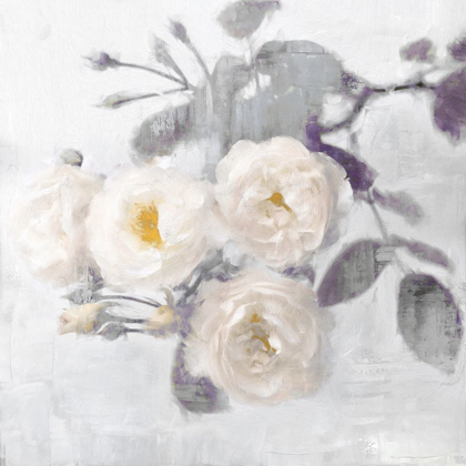 Picture of DELICATE PURPLE II