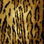 Picture of SKINS II