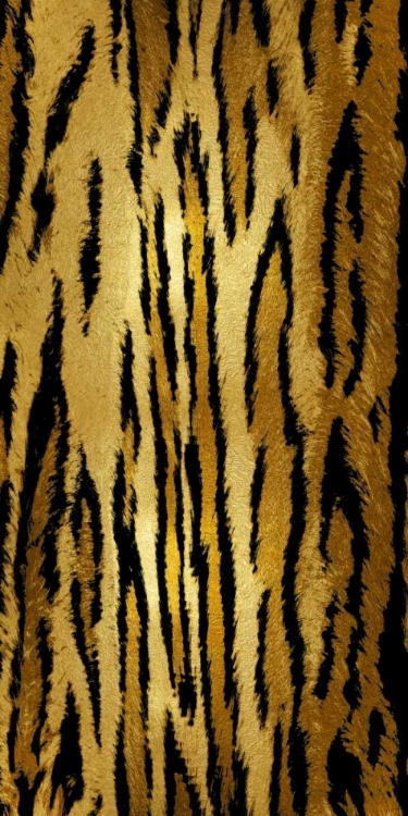 Picture of WILD IV
