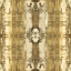 Picture of PATTERNS II