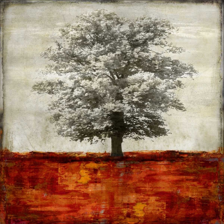Picture of MAJESTIC - RED