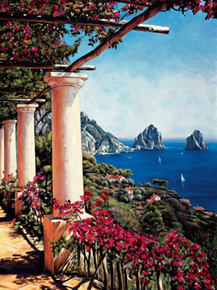 Picture of PERGOLA IN CAPRI