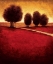 Picture of RADIANCE I