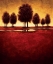 Picture of RADIANCE II