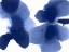 Picture of DYNAMIC INDIGO