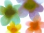 Picture of FLORAL FRIENDS II