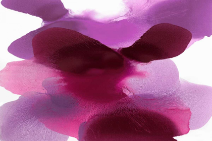Picture of MAGENTA DRIFT
