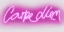 Picture of NEON CARPE DIEM PW