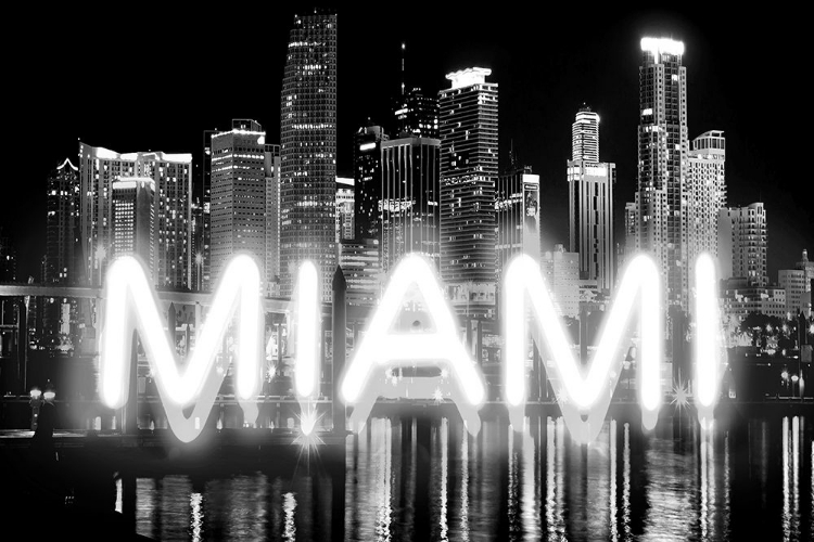 Picture of NEON MIAMI WB