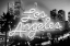 Picture of NEON LOS ANGELES WB