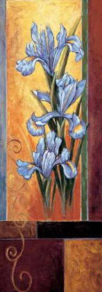 Picture of IRIS