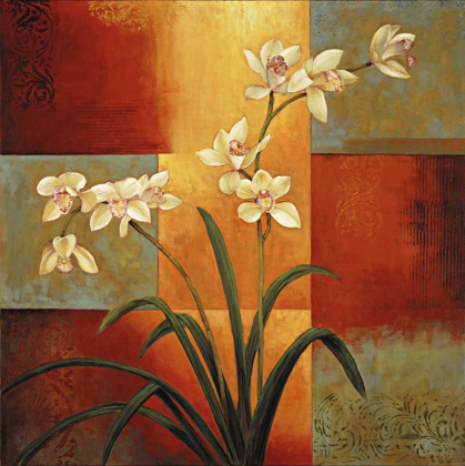 Picture of WHITE ORCHID