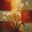 Picture of WHITE ORCHID