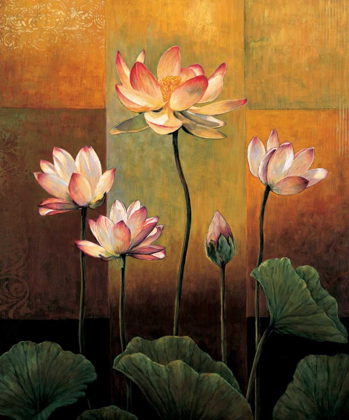 Picture of LOTUS