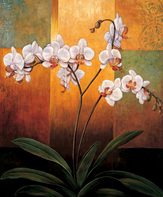 Picture of ORCHIDS