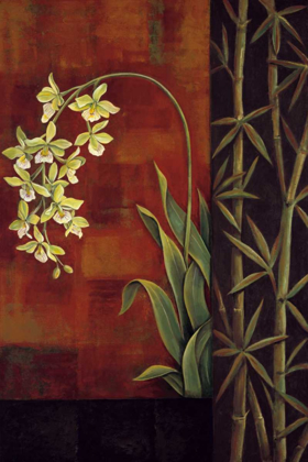 Picture of GREEN ORCHID