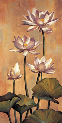 Picture of WHITE LOTUS