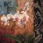 Picture of OPULENT I