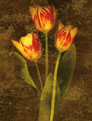 Picture of THREE TULIPS