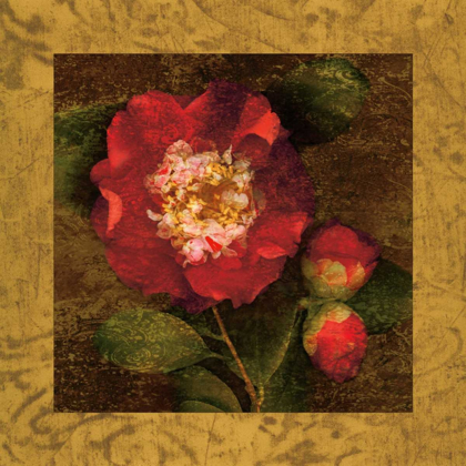 Picture of RED CAMELLIAS I