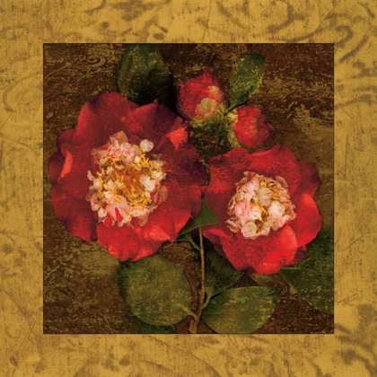 Picture of RED CAMELLIAS II
