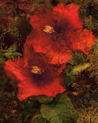 Picture of HIBISCUS II