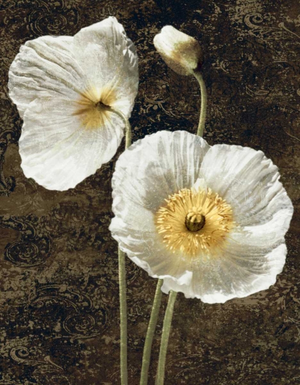 Picture of POPPIES I