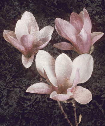 Picture of PINK MAGNOLIAS II