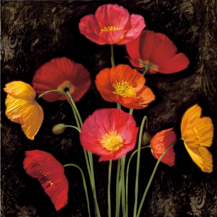 Picture of POPPY BOUQUET I