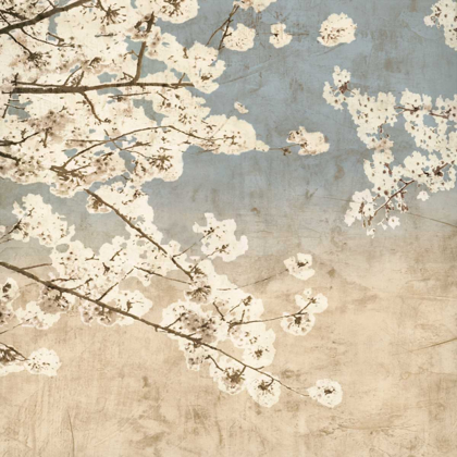 Picture of CHERRY BLOSSOMS II