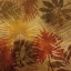 Picture of SUNLIT PALMS I