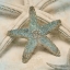 Picture of COASTAL GEMS III