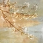 Picture of BLOSSOMS ONTHE POND I