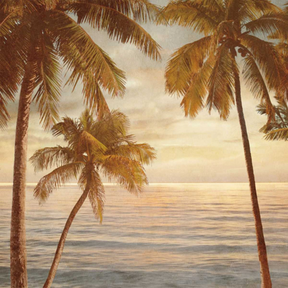 Picture of PALMS ON THE WATER II
