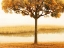 Picture of GOLDEN MORNING I