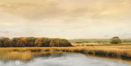 Picture of RIPPLES ON THE WATER