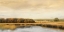 Picture of RIPPLES ON THE WATER