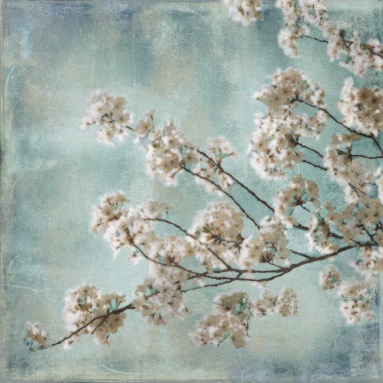 Picture of AQUA BLOSSOMS I