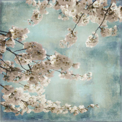 Picture of AQUA BLOSSOMS II