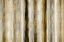 Picture of VERTICAL MOTION