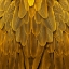 Picture of FEATHERED FRIEND - GOLDEN