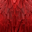 Picture of FEATHERED FRIEND - RED