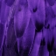 Picture of FEATHERED FRIEND - PURPLE