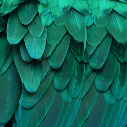 Picture of FEATHERED FRIEND - AQUA