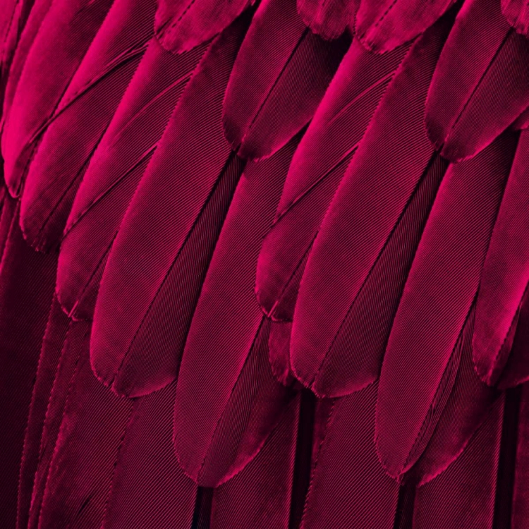 Picture of FEATHERED FRIEND - MAGENTA