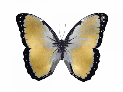 Picture of BUTTERFLY IN METALLIC I