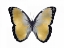 Picture of BUTTERFLY IN METALLIC I